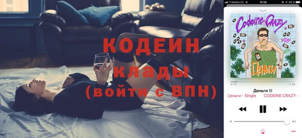 крисы Абаза
