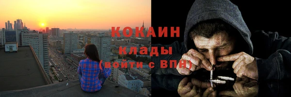 крисы Абаза