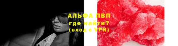 крисы Абаза