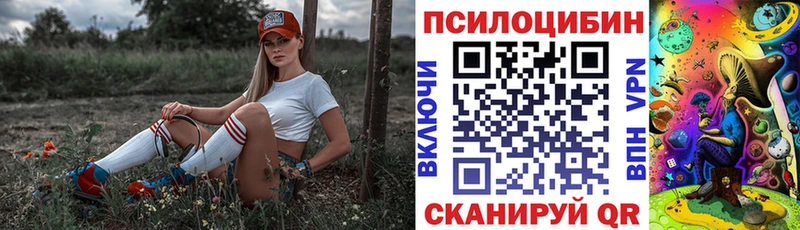 Псилоцибиновые грибы GOLDEN TEACHER  kraken ТОР  Подпорожье 