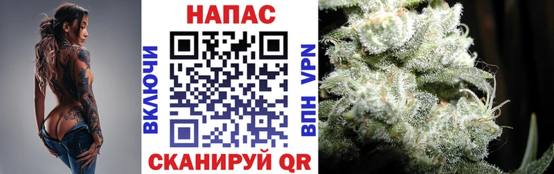 Конопля индика  купить   Подпорожье 